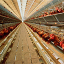 ��ҩ����